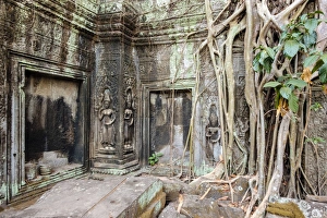 Tree roots growing on Ta Prohm temple (Rajavihara) ruins, Angkor Tree roots growing on Ta Prohm temple (Rajavihara) ruins, Angkor