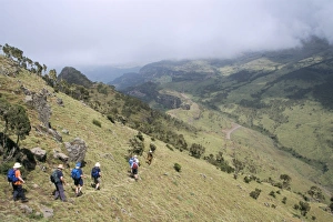 Trekking to Chenek, Simien Mountains National Park, UNESCO World Heritage Site Trekking to Chenek, Simien Mountains National Park, UNESCO World Heritage Site