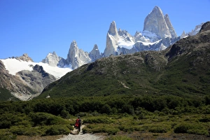 Trekking under Monte Fitz Roy, El Chalten, Argentine Patagonia, Argentina, South America Trekking under Monte Fitz Roy, El Chalten, Argentine Patagonia, Argentina, South America