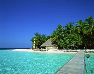 Jetty Gallery: A tropical beach with palm trees in the Maldive Islands, Indian Ocean, Asia