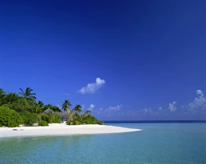 Maldives Gallery: A tropical beach with palm trees and thatched huts in the Maldive Islands