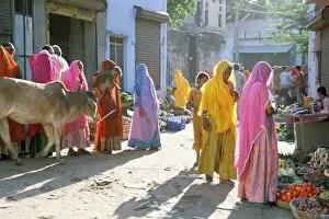 Small Group Of People Collection: Typical coloured Rajasthani saris
