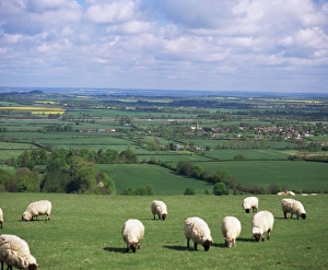 Uffington and the Vale of the White Horse, south Oxfordshire, England, United Kingdom Uffington and the Vale of the White Horse, south Oxfordshire, England, United Kingdom