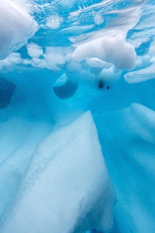 Underwater view of glacial ice in Orne Harbor, Antarctica, Polar Regions Underwater view of glacial ice in Orne Harbor, Antarctica, Polar Regions