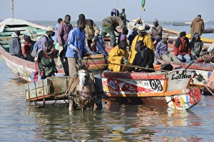 Unloading fishing boats (pirogues), Mbour Fish Market, Mbour, Senegal, West Africa Unloading fishing boats (pirogues), Mbour Fish Market, Mbour, Senegal, West Africa