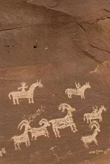 Images Dated 28th October 2009: Ute Rock Art (petroglyphs), near Wolfe Ranch, Arches National Park, Utah