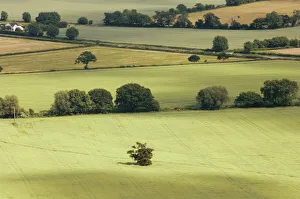 The Vale of Evesham from the main ridge of the Malvern Hills, Worcestershire The Vale of Evesham from the main ridge of the Malvern Hills, Worcestershire