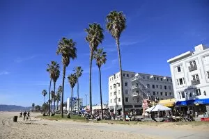 Los Angeles Collection: Venice Beach, Los Angeles, California, United States of America, North America