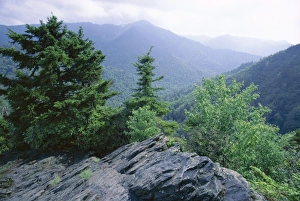 View from the Alum Cave Bluffs trail in Great Smoky View from the Alum Cave Bluffs trail in Great Smoky