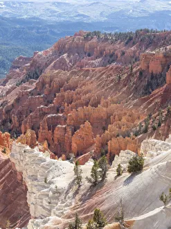 A view of the amphitheater from the rim at 10000 feet in Cedar Breaks National Monument A view of the amphitheater from the rim at 10000 feet in Cedar Breaks National Monument