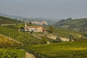 Images Dated 18th October 2013: View over Barolo village and vineyards, Langhe, Cuneo district, Piedmont, Italy, Europe