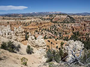 A view of the hoodoos from the Fairyland Trail in Bryce Canyon National Park, Utah A view of the hoodoos from the Fairyland Trail in Bryce Canyon National Park, Utah