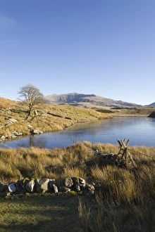 Llyn y Dywarchen Llyn y Dywarchen