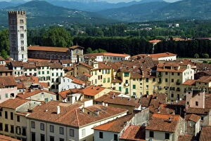 Southern Europe Gallery: View of Lucca from Torre Guinigi, Lucca, Tuscany, Italy, Europe