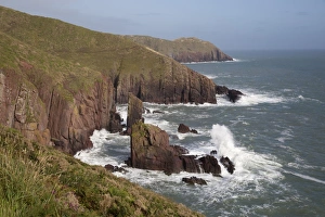 Images Dated 25th August 2014: View to Old Castle Head, near Manorbier, Pembrokeshire Coast National Park, Pembrokeshire