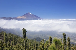 View over Orotava Valley to Pico del Teide, National Park Teide View over Orotava Valley to Pico del Teide, National Park Teide