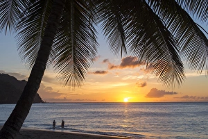 A view out to sea at sunset beneath the palm trees at Castara Bay in Tobago A view out to sea at sunset beneath the palm trees at Castara Bay in Tobago