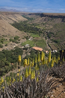 Cape Verde Gallery: Cidade Velha Collection