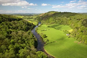 Hillside Gallery: View over Wye Valley from Symonds Yat Rock, Symonds Yat, Forest of Dean, Herefordshire