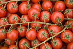 Vine tomatoes in street market