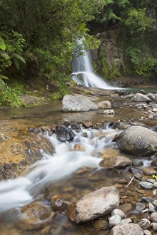 Waiau Falls on 309 Road, Coromandel Peninsula, Waikato, North Island, New Zealand, Pacific Waiau Falls on 309 Road, Coromandel Peninsula, Waikato, North Island, New Zealand, Pacific