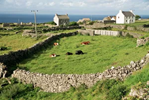 Walled Fields Print, Inishmore Landscape