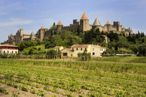 Vine Yard Gallery: Walled and turreted fortress of La Cite, Carcassonne, UNESCO World Heritage Site