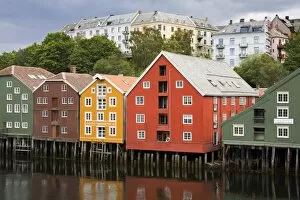 Images Dated 18th July 2008: Warehouses on Bryggen waterfront in Old Town District, Trondheim, Nord-Trondelag Region