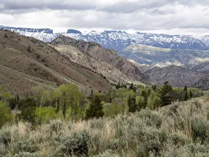 The Washakie Wilderness area within Shoshone National Forest, Wyoming The Washakie Wilderness area within Shoshone National Forest, Wyoming