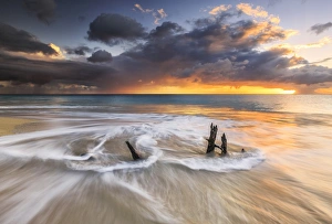 The waves and caribbean sunset frames tree trunks on Ffryes Beach, Antigua, Antigua and Barbuda The waves and caribbean sunset frames tree trunks on Ffryes Beach, Antigua, Antigua and Barbuda