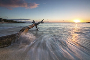 Waves on a tree trunk on the beach framed by the Caribbean sunset, Hawksbill Bay Waves on a tree trunk on the beach framed by the Caribbean sunset, Hawksbill Bay