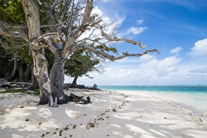 White sand and turquoise water at Laura (Lowrah) beach, Majuro atoll, Majuro, Marshall Islands White sand and turquoise water at Laura (Lowrah) beach, Majuro atoll, Majuro, Marshall Islands