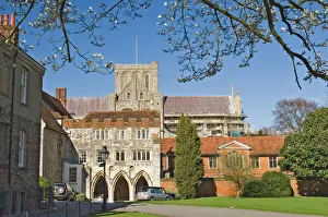 Cathedrals Gallery: Winchester Cathedral and precinct, Winchester, Hampshire, England, United Kingdom, Europe