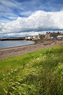 Windswept grasses by the shingle beach at Broughty Ferry, Dundee, Scotland, United Kingdom, Europe Windswept grasses by the shingle beach at Broughty Ferry, Dundee, Scotland, United Kingdom, Europe