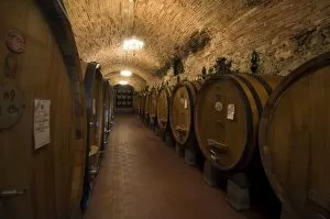 Related Images Gallery: Wine casks in the wine cellars of the Villa Vignamaggio