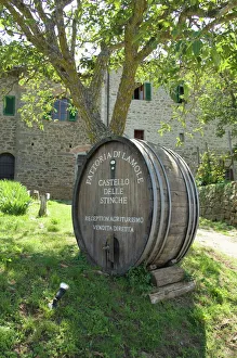 Vine Yard Gallery: Winery in Lamole