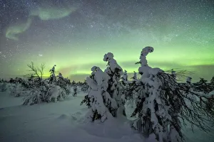 Winter forest covered with snow under the green Northern Lights (Aurora Borealis) Winter forest covered with snow under the green Northern Lights (Aurora Borealis)