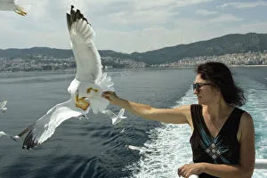 Woman feeding seagulls on a ferry from Kavala to Thassos, North Aegean Sea, Greek Islands Woman feeding seagulls on a ferry from Kavala to Thassos, North Aegean Sea, Greek Islands