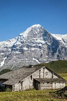 Images Dated 2nd August 2011: Wood hut with Mount Eiger in the background, Mannlichen, Grindelwald, Bernese Oberland