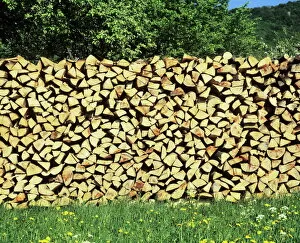 Firewood Gallery: Wood pile, flower meadow, Swabian Alb, Baden Wurttemberg, Germany, Europe