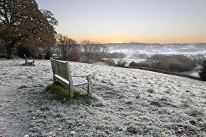 Sussex Gallery: 