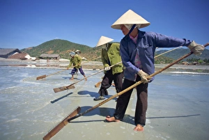 Workers with rakes at the salt mines at Cam Ranh near Nha Trang Workers with rakes at the salt mines at Cam Ranh near Nha Trang