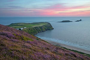 Images Dated 15th August 2014: Worms Head and Rhossili Bay with Heather-clad cliffs, Gower Peninsula, Swansea, West Glamorgan