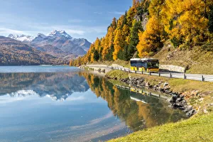 Yellow bus travelling on shores of Lake Silvaplana in autumn, St Yellow bus travelling on shores of Lake Silvaplana in autumn, St