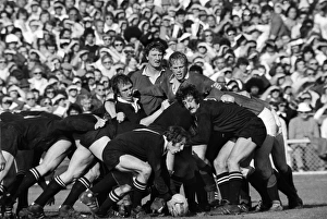Rugby Gallery: 4th Test: NZ 10 Lions 9