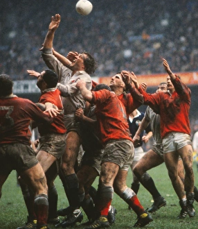 Rugby Gallery: 5N1987: Wales 19 England 12