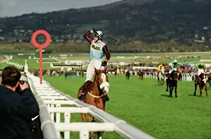 Images Dated 13th March 1997: AP McCoy on the Mr Mulligan wins the 1997 Cheltenham Gold Cup