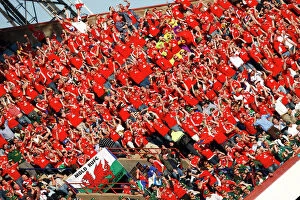 Images Dated 27th June 2009: British Lions fans in South Africa in 2009