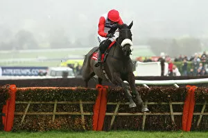 Images Dated 15th March 2012: Cheltenham Festival: Day Three