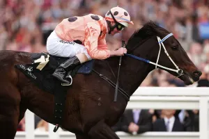 Horse Racing Prints: Black Caviar wins Diamond Jubilee Stakes Print